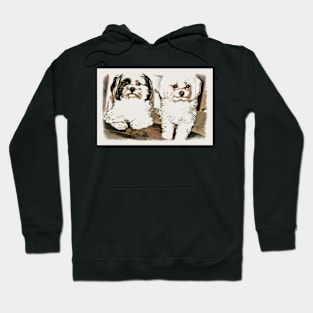 H and D Hoodie